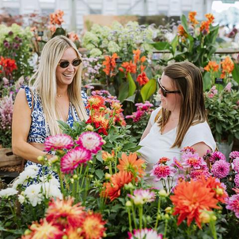 Two new RHS Flower Shows this July