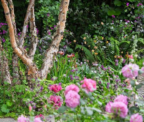 Bring RHS Chelsea home to your garden