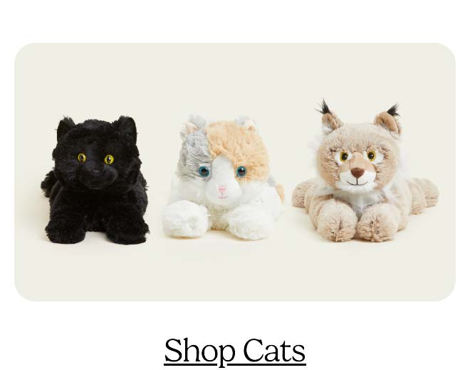 Shop Cats