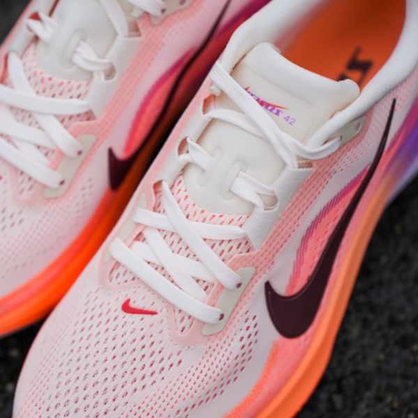 Nike Pegasus 42