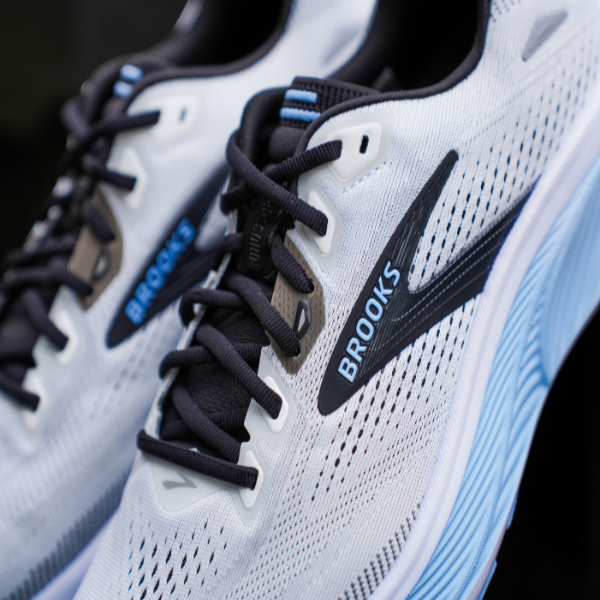 Brooks Beast GTS 26