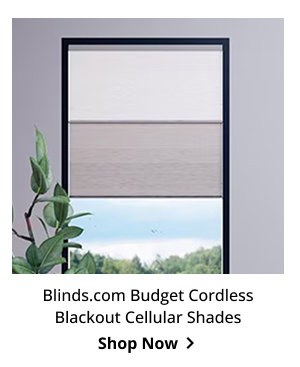 Blinds.com Budget Cordless Blackout Cellular Shades | Shop Now >
