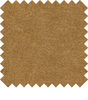 Fabric Swatch
