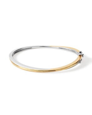 Aurora Mixed Metal Bangle