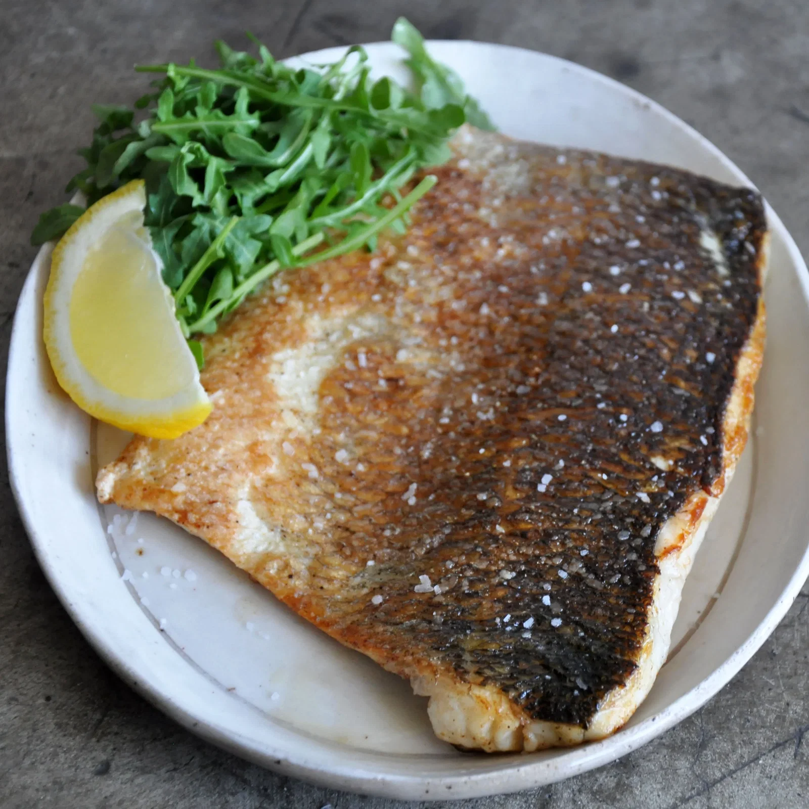 Image of Great Atlantic Sea Bass