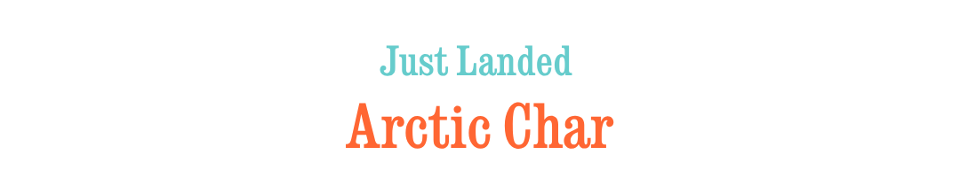 just landed: arctic char
