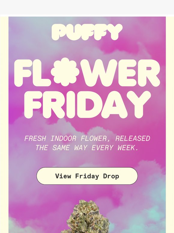 ORZ Is Your Friday Flower
