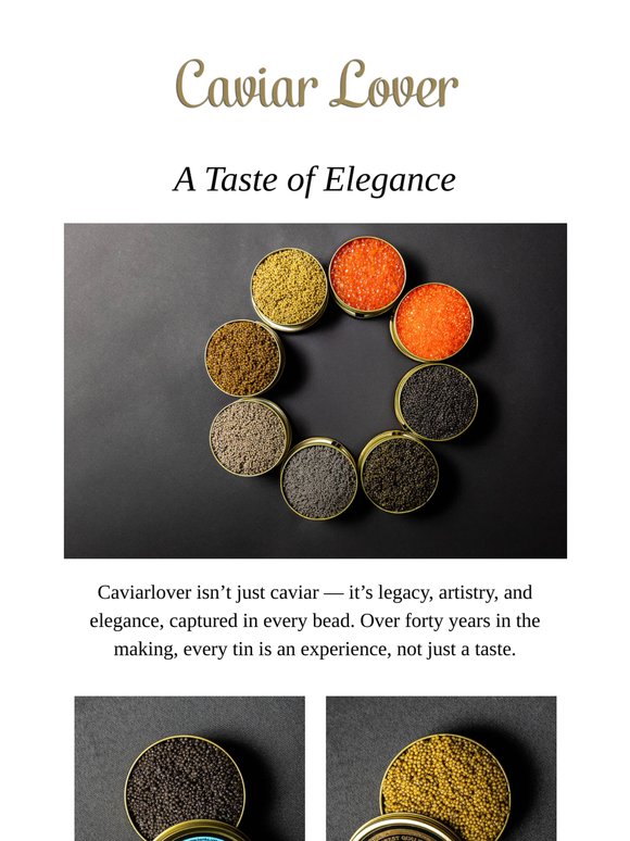 Sophistication You Can Taste