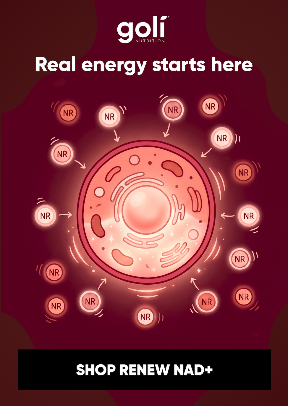Real energy starts here  SHOP RENEW NAD+