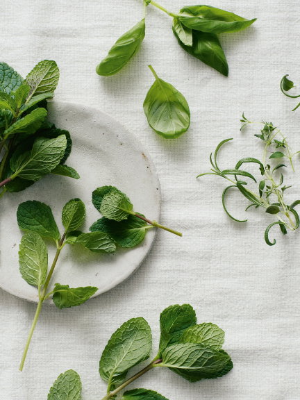 Wild Mint Collection