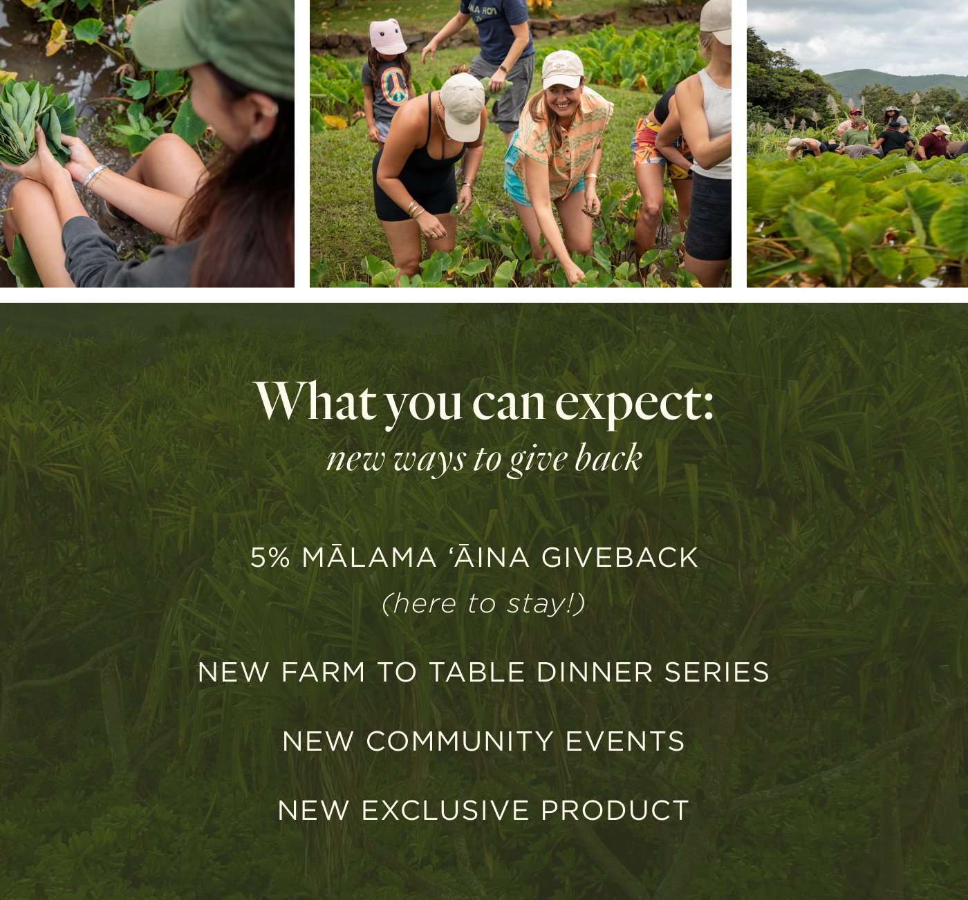 What you can expect: new ways to give back  5% Mālama ʻĀina Giveback (here to stay!)  NEW Farm to Table Dinner Series  NEW Community Events  NEW Exclusive Product 