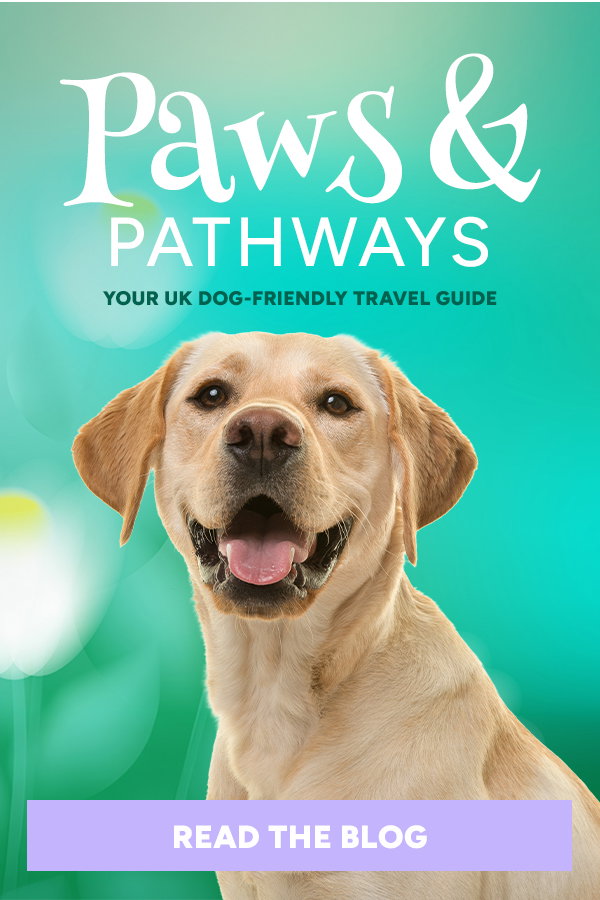 Paws & Pathways