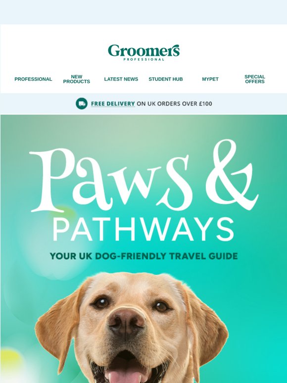 The Ultimate Guide to Dog Friendly Staycations