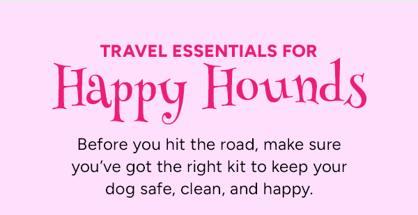 Travel Essentials for Happy Hounds
