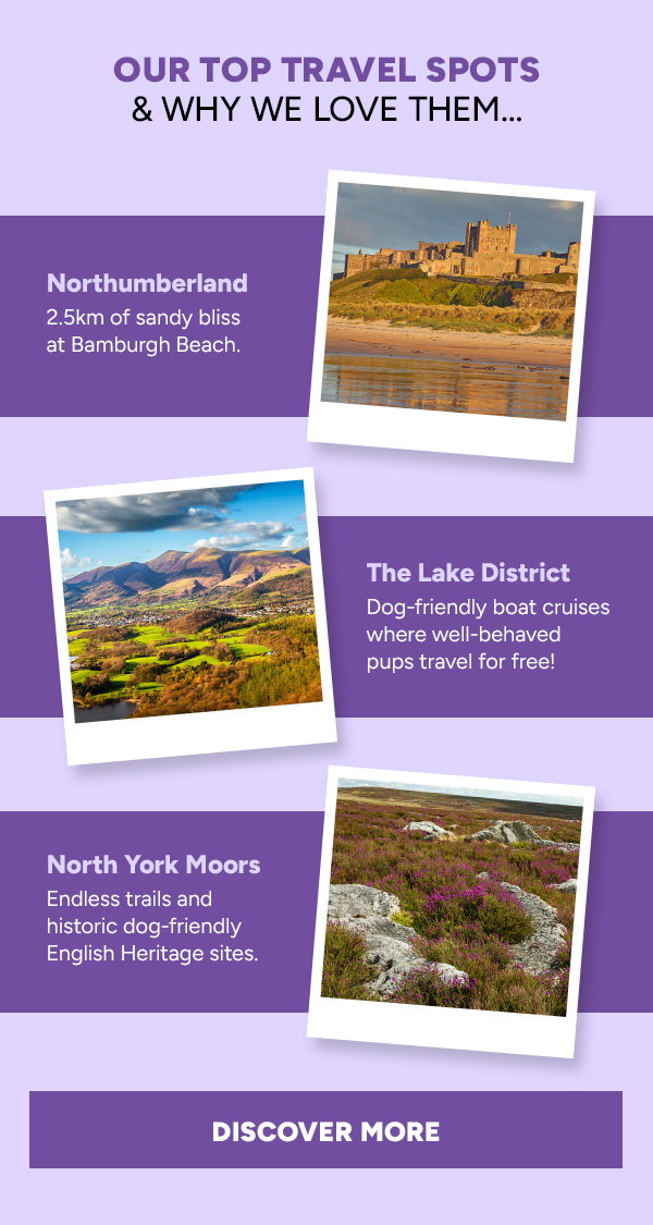 Discover Our Travel Spots! 