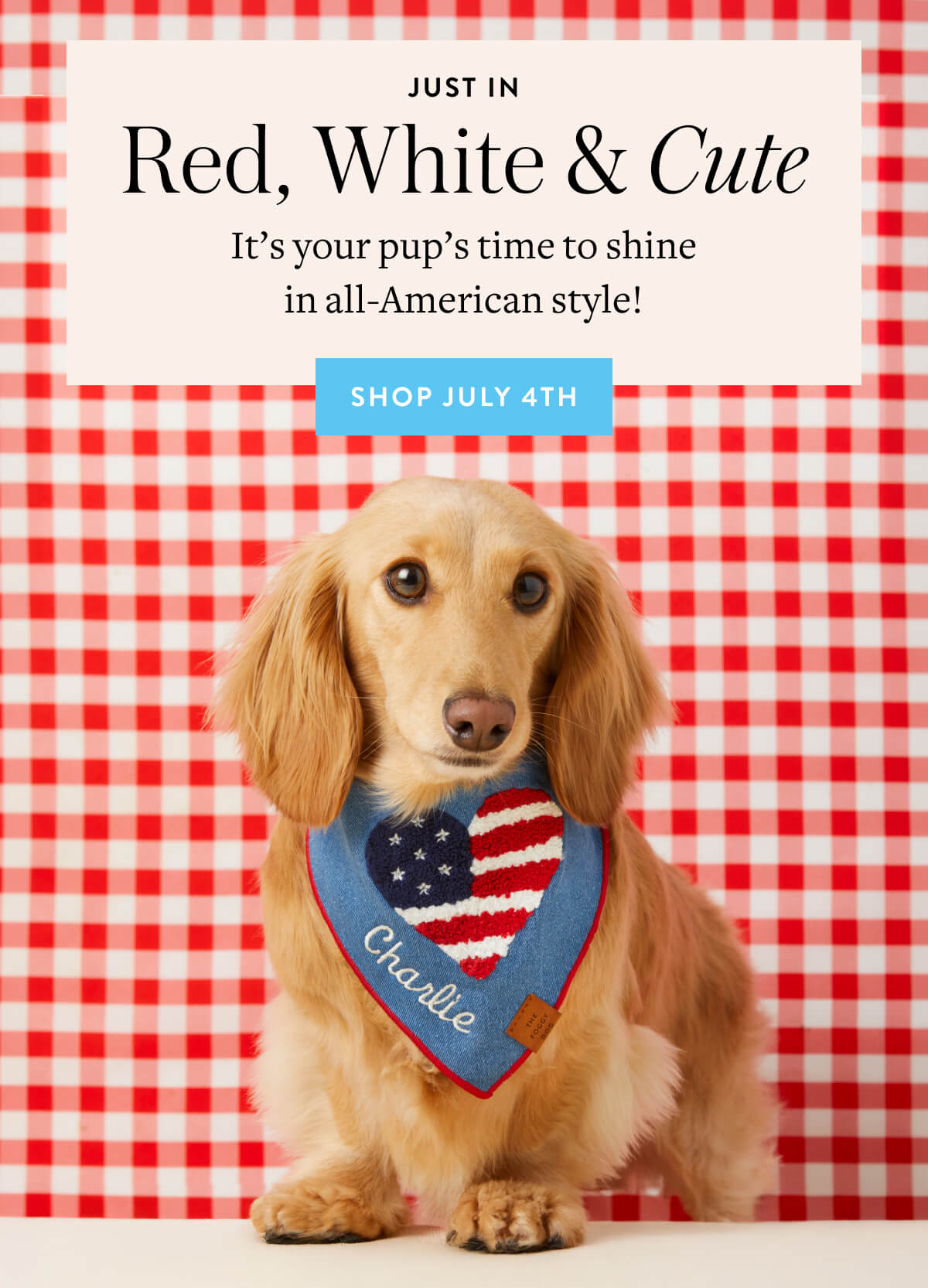Shop July 4th