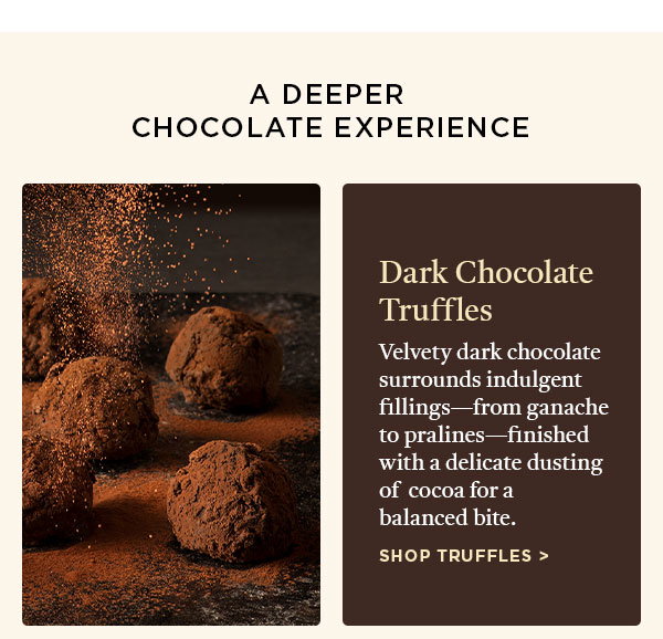 DARK CHOCOLATE TRUFFLES