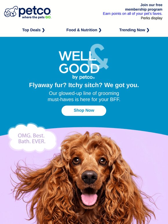 The NEW Well & Good is here 🫧 🧴 ✨
