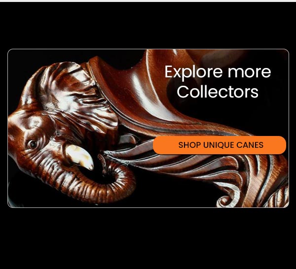 Discover More
