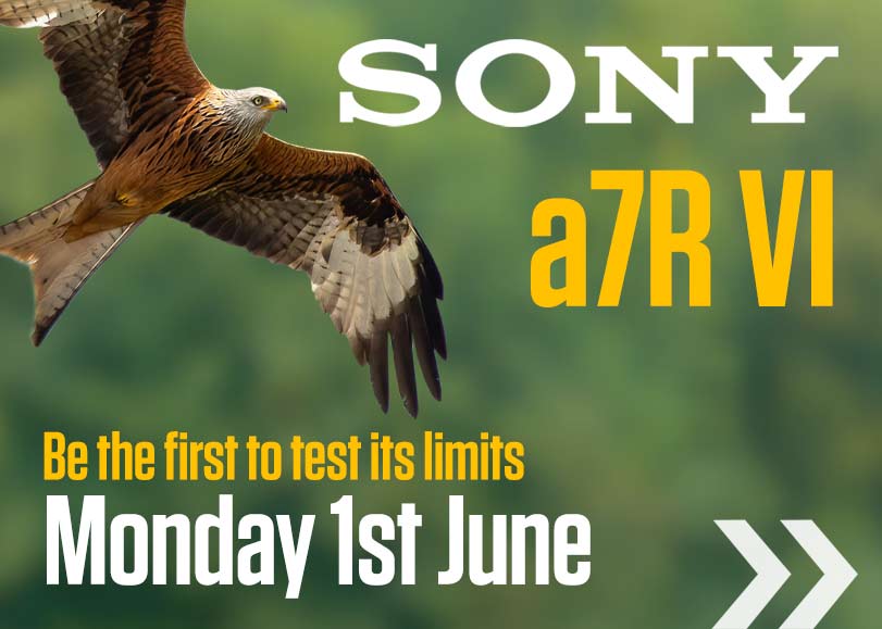 Sony A7R VI event