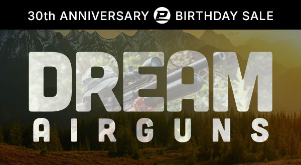 Dream Airguns on Sale Now