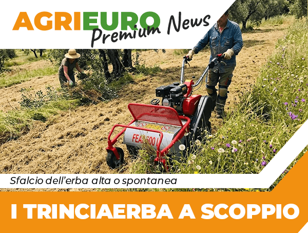 Newsletter: I TRINCIAERBA A SCOPPIO