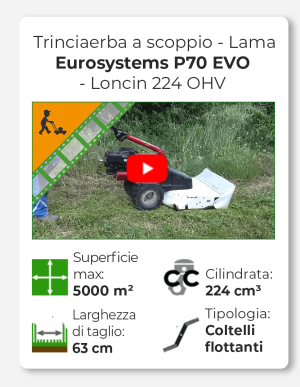 Eurosystems P70 EVO - Trinciaerba a scoppio - Lama - Loncin 224 OHV