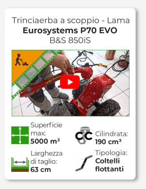 Eurosystems P70 EVO - Trinciaerba a scoppio - Lama - B&S 850iS