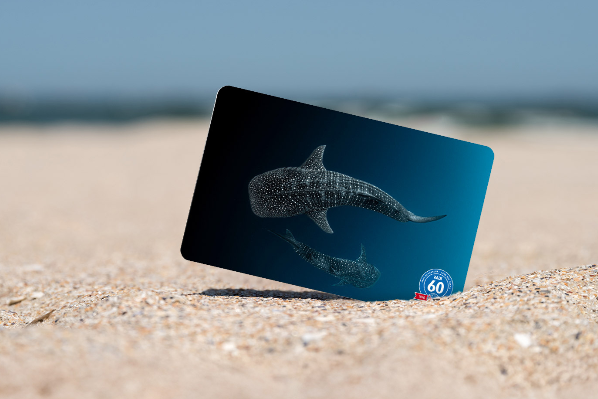 Your Card Still Says “Junior.” It’s Time To Upgrade.