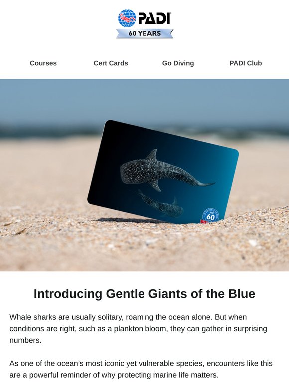 Celebrate the Ocean’s Giants This Endangered Species Day