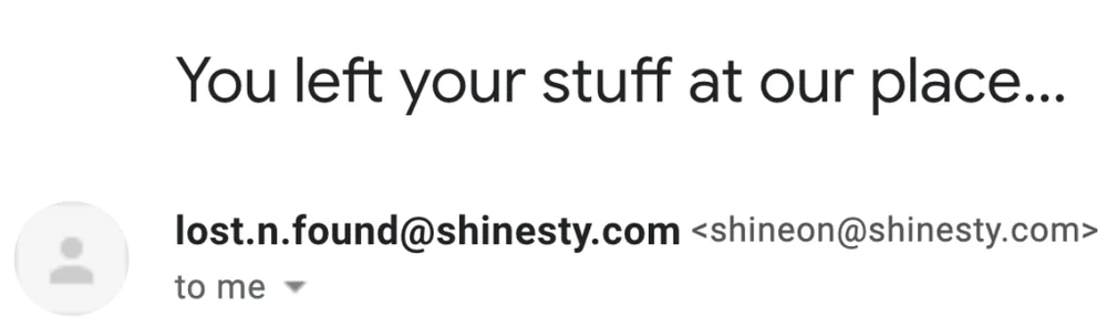 Shinesty-Subject-Line-1024x305-2 (1)