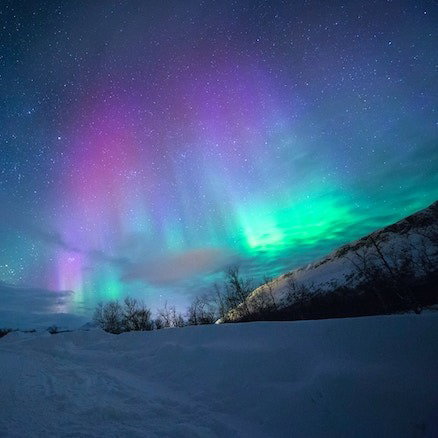 Northern lights above a snowy field