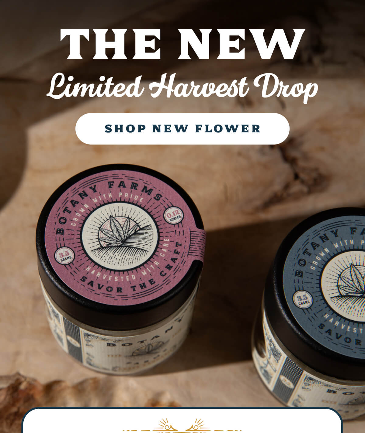 The New Limited Harvest Drop