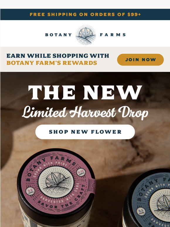 The New Harvest Drop