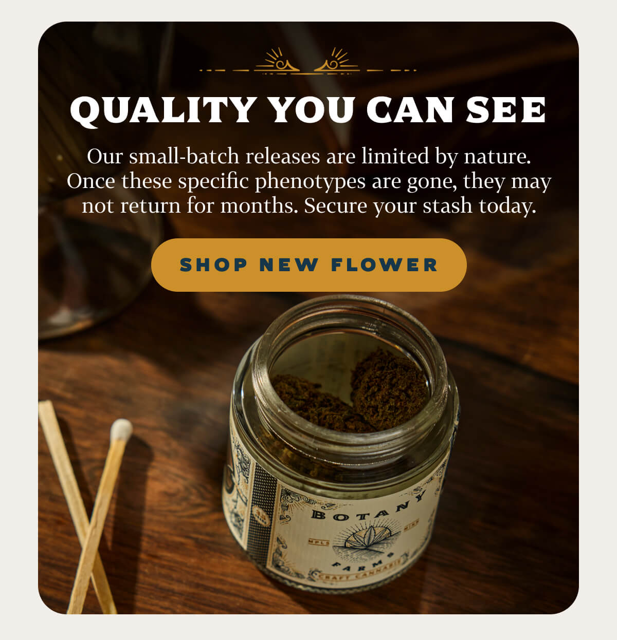 Quality You Can See Our small-batch releases are limited by nature. Once these specific phenotypes are gone, they may not return for months. Secure your stash today.