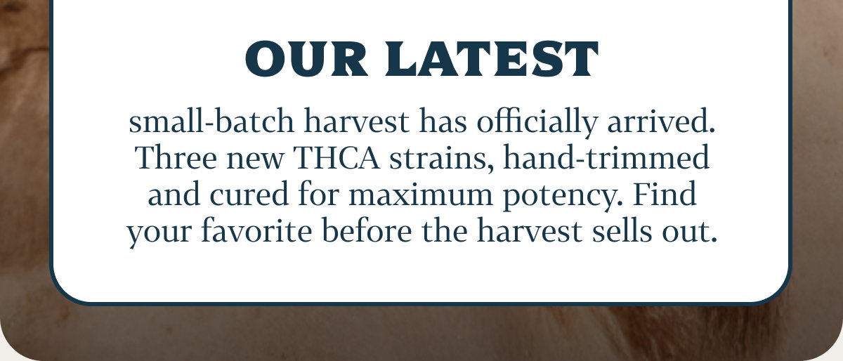 Our latest small-batch harvest has officially arrived. Three new THCA strains, hand-trimmed and cured for maximum potency. Find your favorite before the harvest sells out.