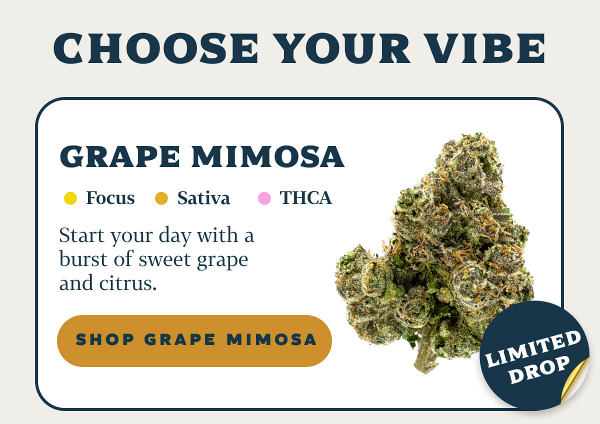 Grape Mimosa Focus | Sativa | THCA Start your day with a burst of sweet grape and citrus.