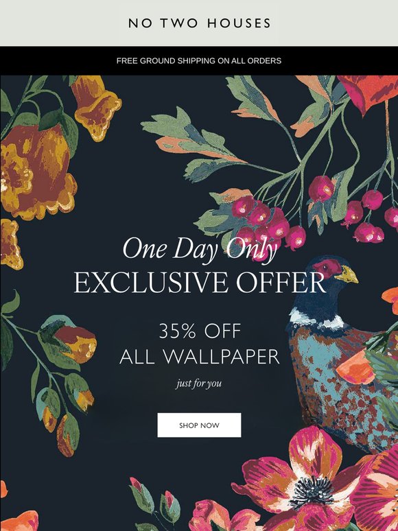 One Day Only ~ Your Exclusive Offer