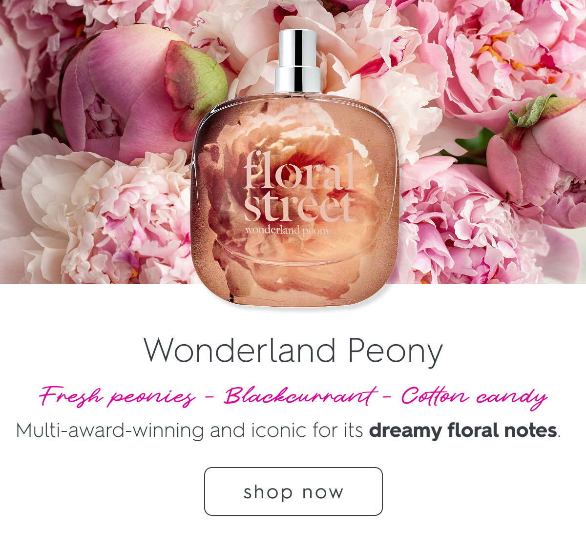 Wonderland Peony