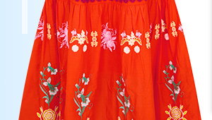 Remarkable Embroidered Maxi Skirt