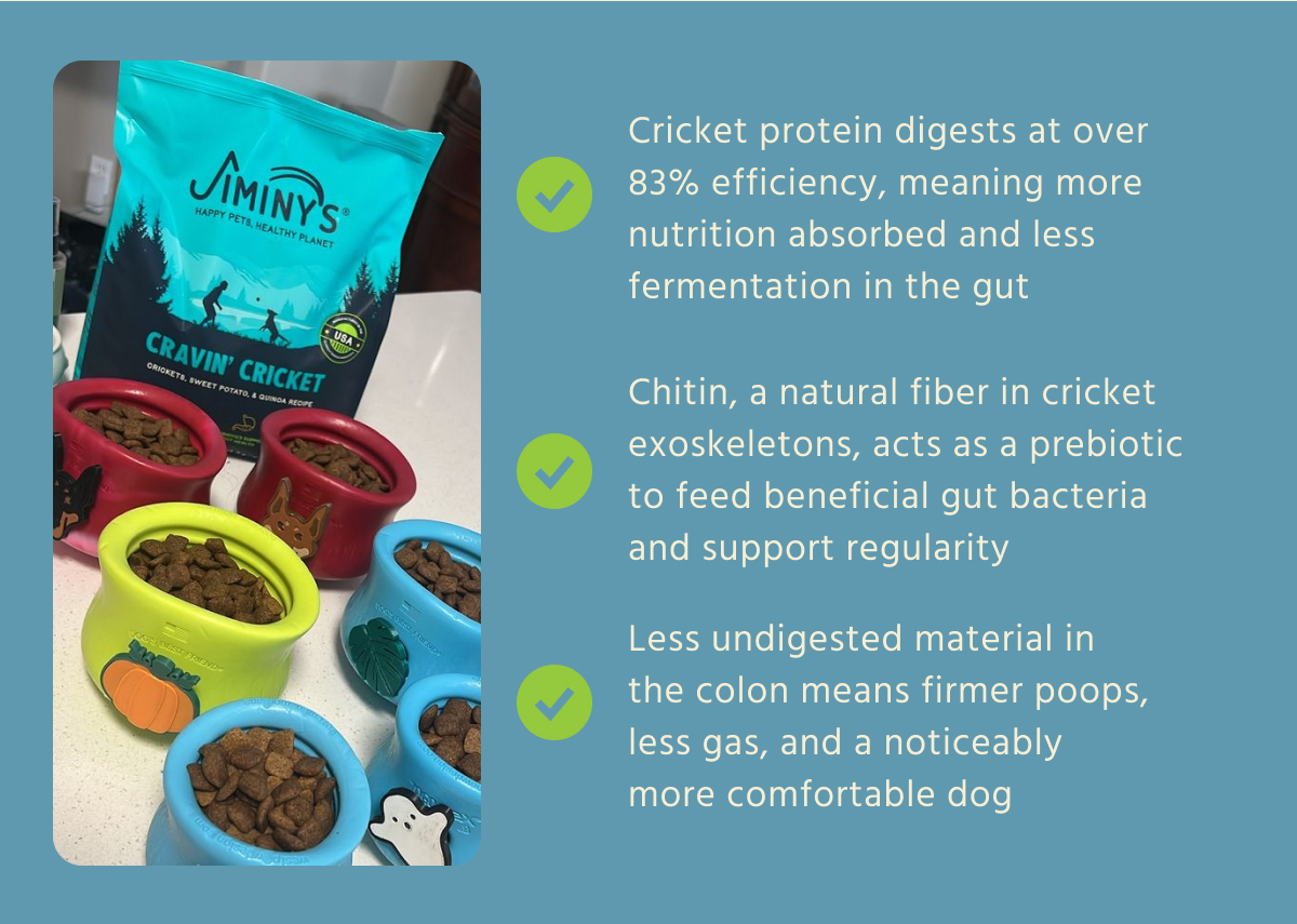 ✅ Cricket protein digests at over 83% efficiency, meaning more nutrition absorbed and less fermentation in the gut  ✅ Chitin, a natural fiber in cricket exoskeletons, acts as a prebiotic to feed beneficial gut bacteria and support regularity  ✅ Less undigested material in the colon means firmer poops, less gas, and a noticeably more comfortable dog