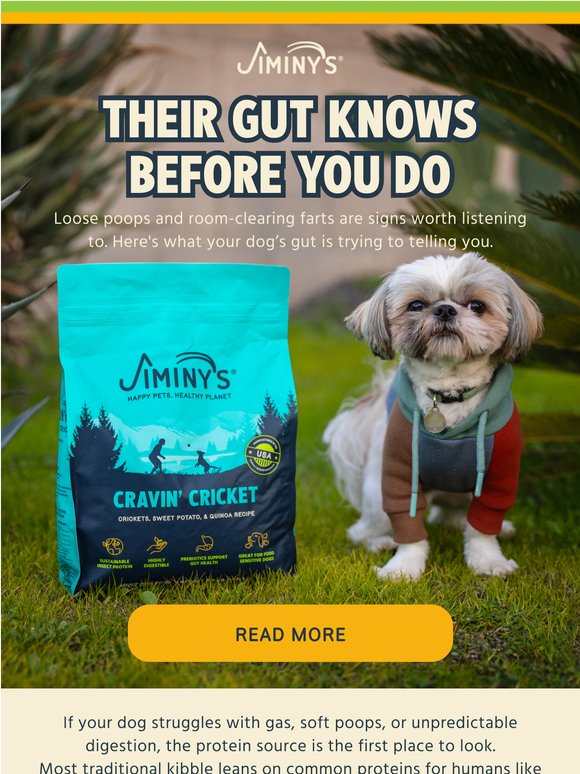 Your dog's gut is asking for help