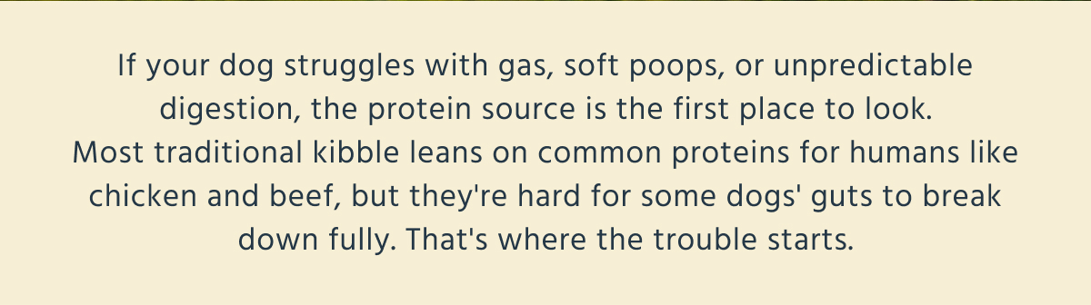 If your dog struggles with gas, soft poops, or unpredictable digestion, the protein source is the first place to look. Most traditional kibble leans on common proteins for humans like chicken and beef, but they're hard for some dogs' guts to break down fully. That's where the trouble starts.