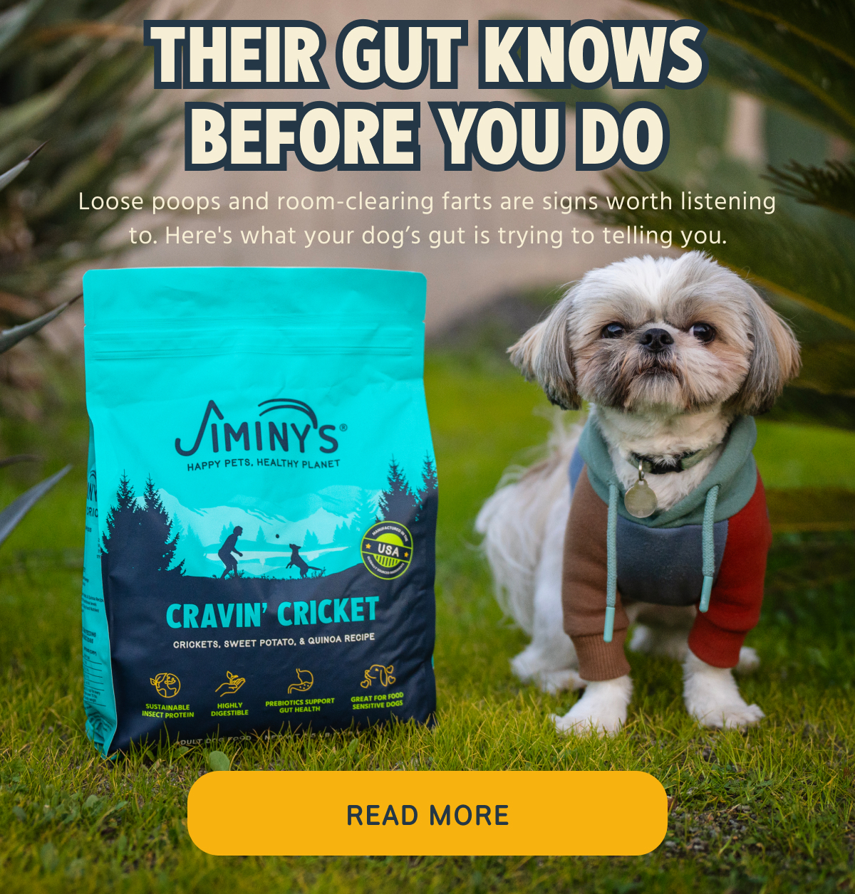 THEIR GUT KNOWS BEFORE YOU DO  Loose poops and room-clearing farts are signs worth listening to. Here's what your dog's gut is trying to tell you.  READ MORE