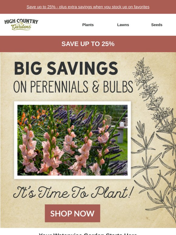 Selling Quickly: Waterwise Plants Up To 25% Off