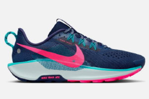 nike pegasus