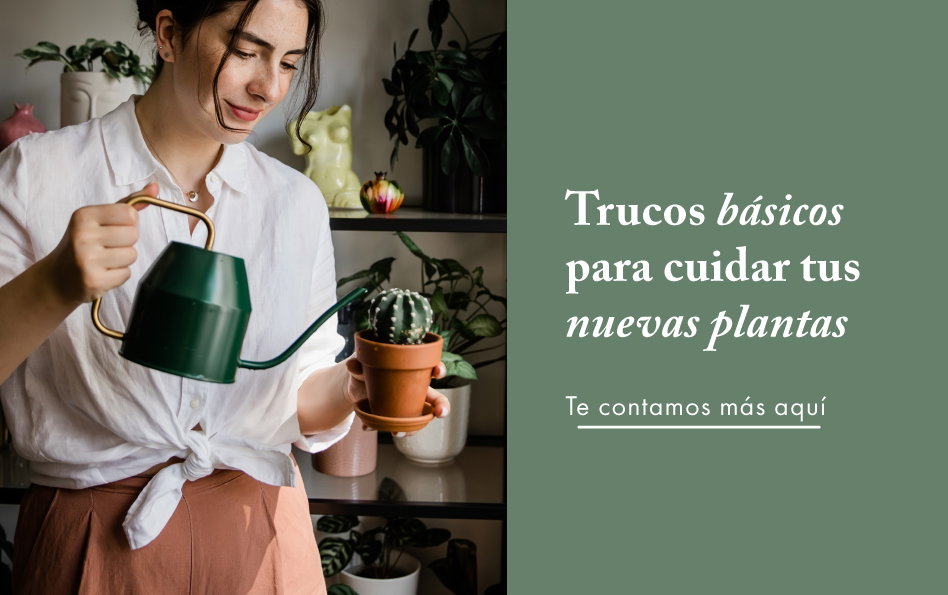 primeros cuidados