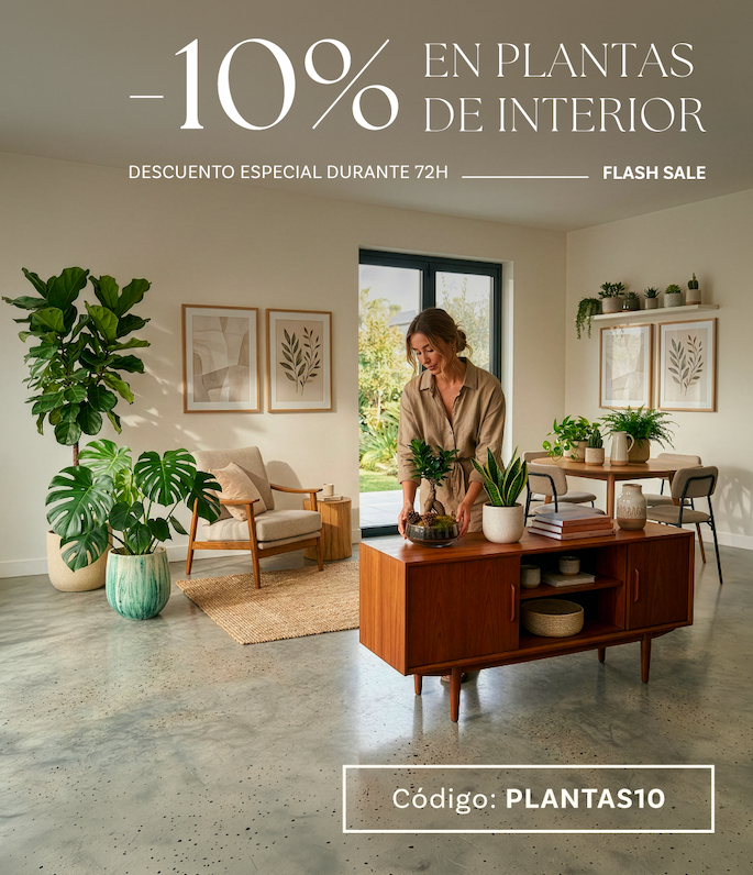 Flash Sale interior