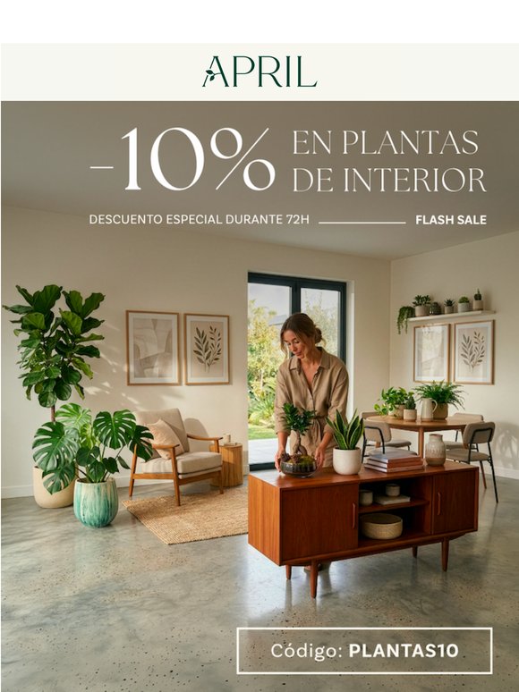 -10% en plantas de interior 💚 Flash Sale