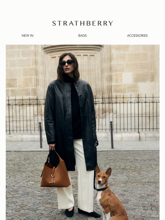 Your New Everyday Bag